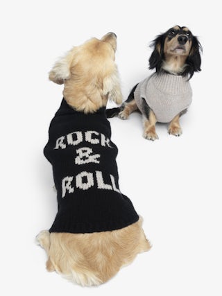 Zadog Jumper 100% Merino Wool - Dog jumper with Rock&Roll intarsia.