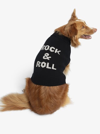 Zadog Jumper 100% Merino Wool - Dog jumper with Rock&Roll intarsia.