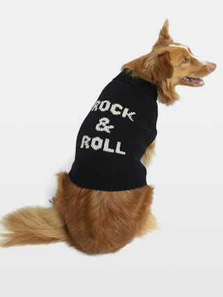 Zadog Jumper 100% Merino Wool - Dog jumper with Rock&Roll intarsia.