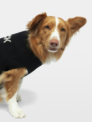 Zadog Jumper 100% Merino Wool - Dog jumper with Rock&Roll intarsia.