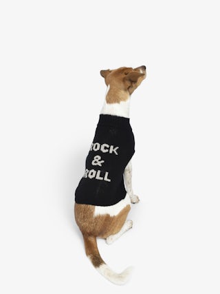 Zadog Jumper 100% Merino Wool - Dog jumper with Rock&Roll intarsia.