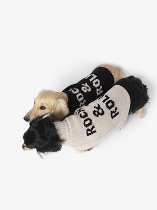 Zadog Jumper 100% Merino Wool - Dog jumper with Rock&Roll intarsia.