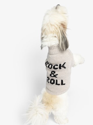 Zadog Jumper 100% Merino Wool - Dog jumper with Rock&Roll intarsia.