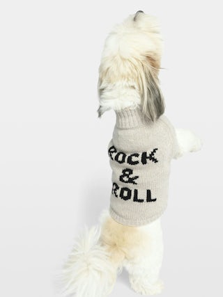 Zadog Jumper 100% Merino Wool - Dog jumper with Rock&Roll intarsia.