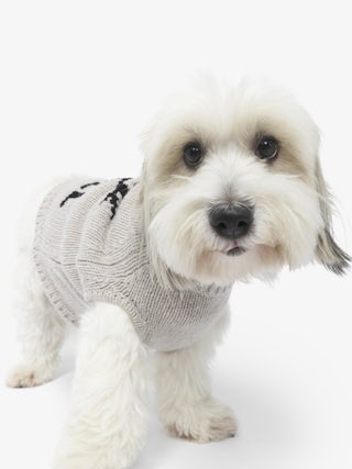 Zadog Jumper 100% Merino Wool - Dog jumper with Rock&Roll intarsia.