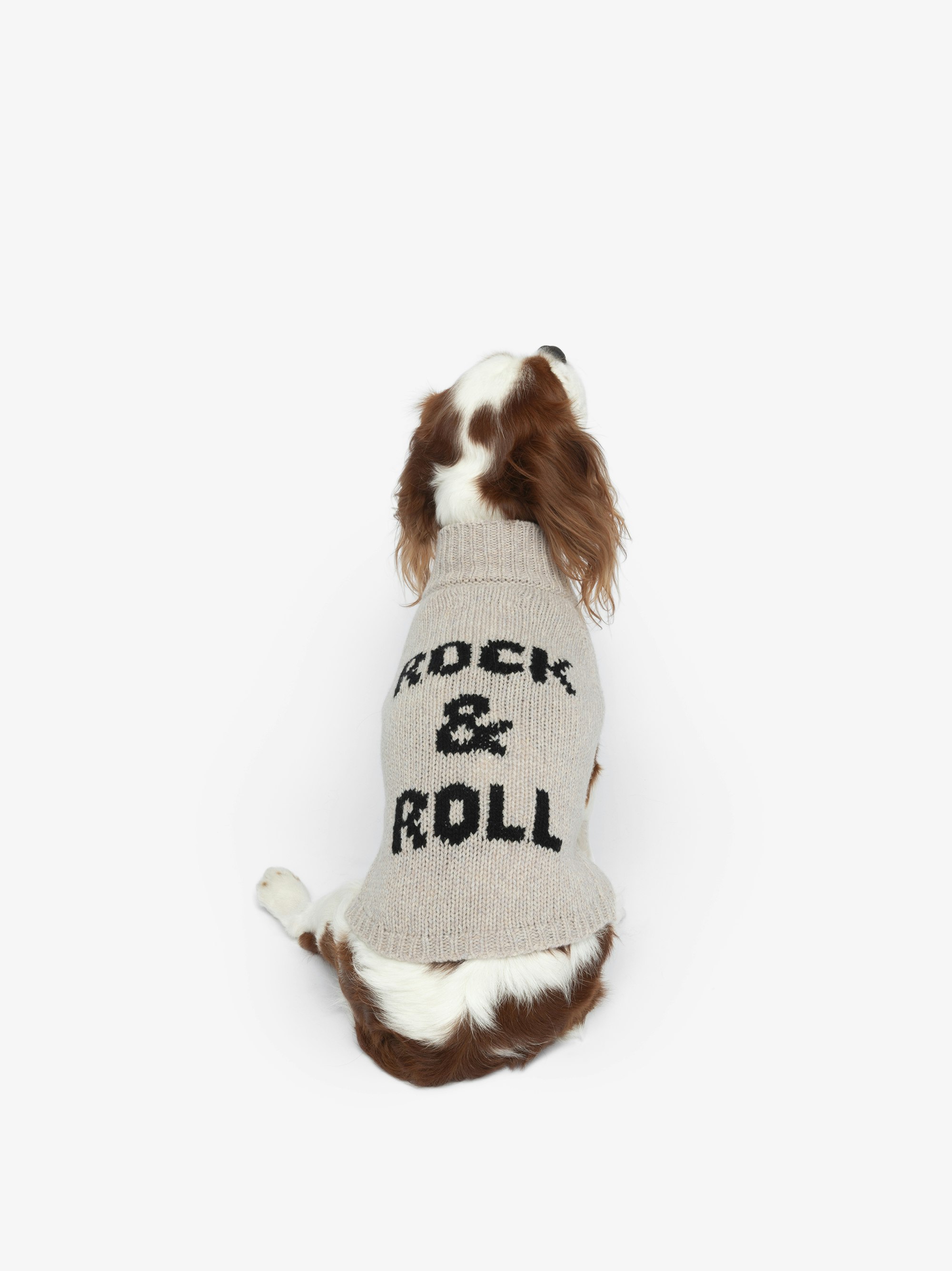 Zadog Jumper 100% Merino Wool - Dog jumper with Rock&Roll intarsia.