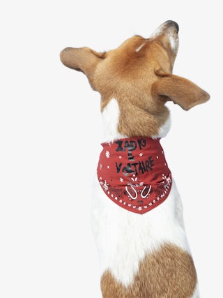 Zadog Bandana - Printed cotton bandana for dogs.