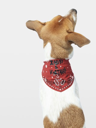 Zadog Bandana - Printed cotton bandana for dogs.
