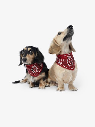 Zadog Bandana - Printed cotton bandana for dogs.