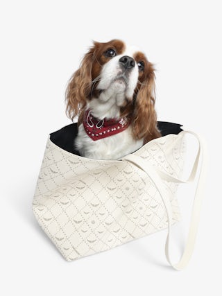 Zadog Bandana - Printed cotton bandana for dogs.