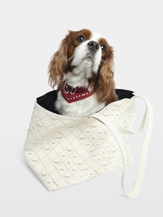 Zadog Bandana - Printed cotton bandana for dogs.