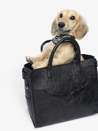 Zadog Harness - - Dog harness in vintage-effect leather with print.