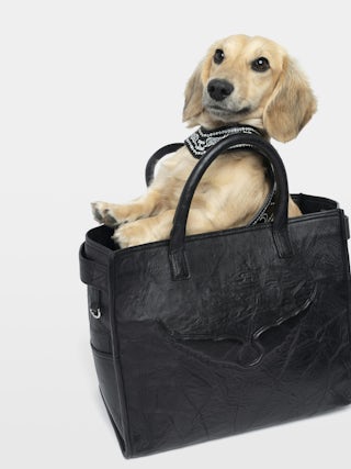 Zadog Harness - - Dog harness in vintage-effect leather with print.