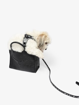 Zadog Harness - - Dog harness in vintage-effect leather with print.
