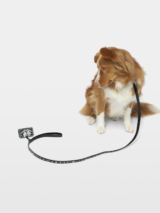 Zadog Bag - Dog bag case in vintage effect leather with print.