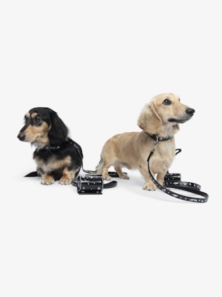 Zadog Bag - Dog bag case in vintage effect leather with print.