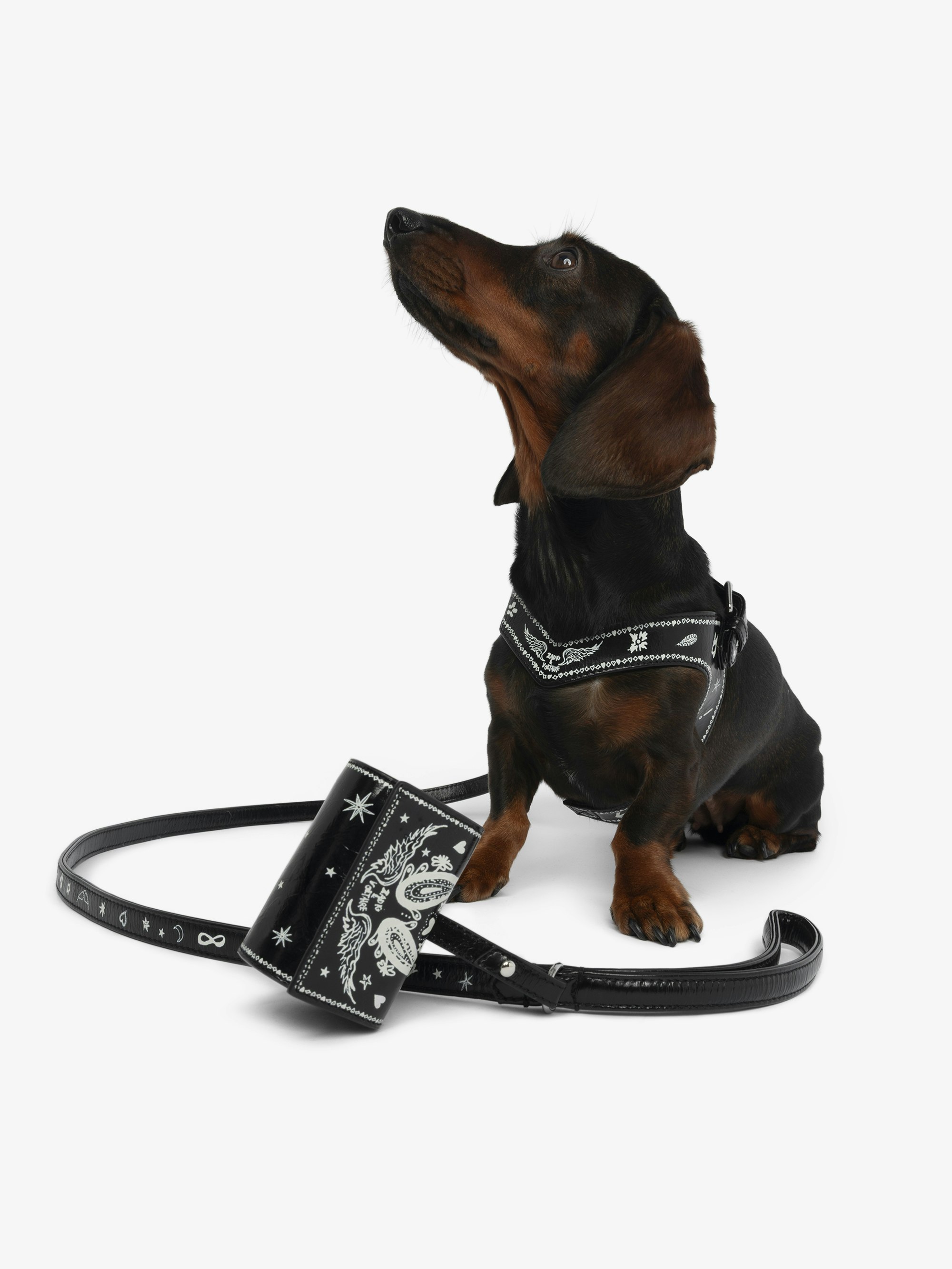 Zadog Bag - Dog bag case in vintage effect leather with print.