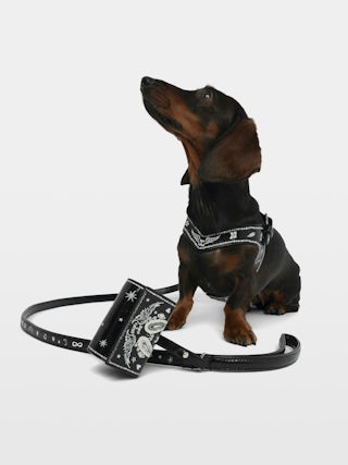 Zadog Bag - Dog bag case in vintage effect leather with print.