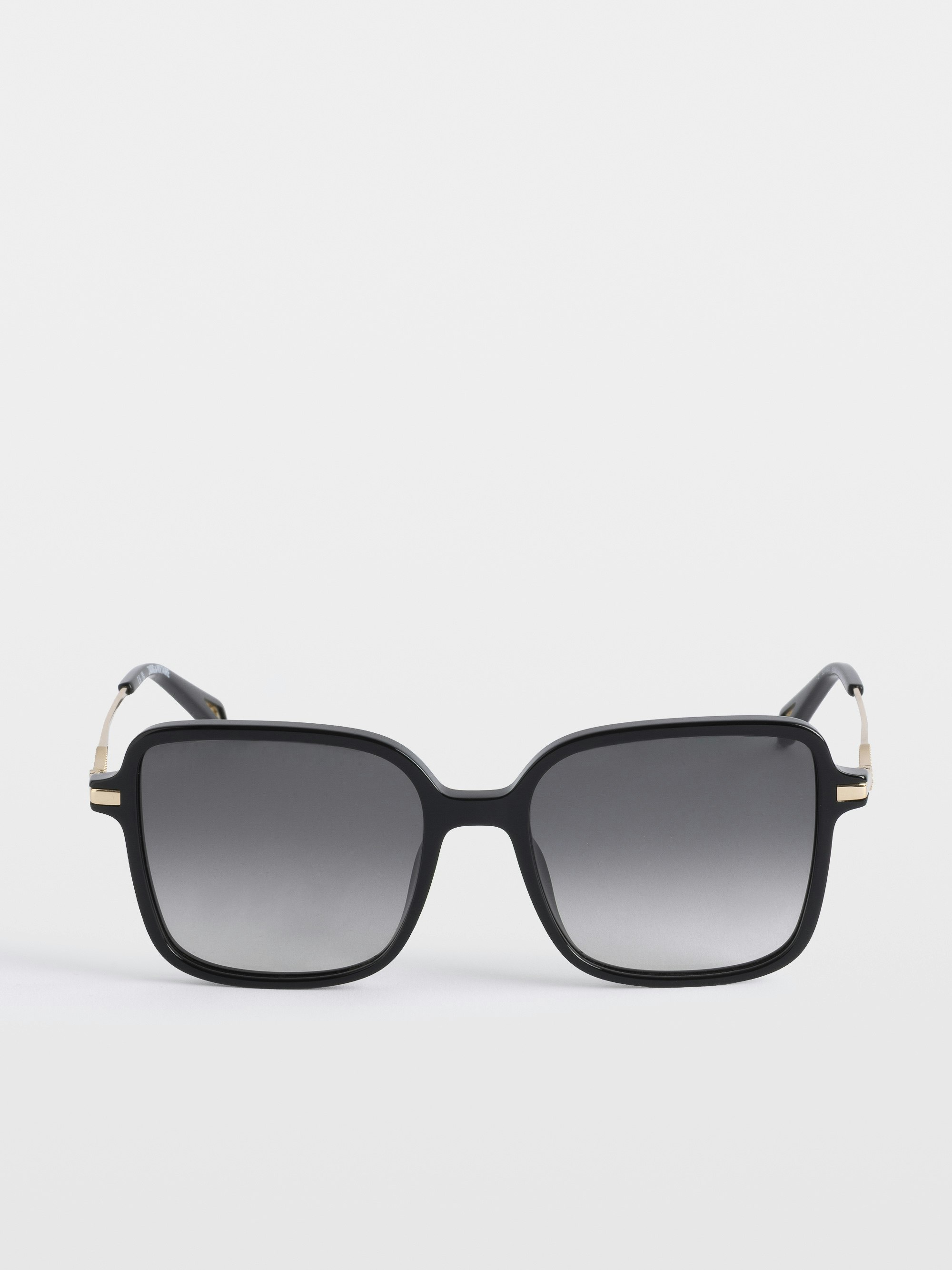 Lunettes De Soleil ZV26S4 - Lunette de soleil unisexe en acétate avec détails signatures ailes sur branches.