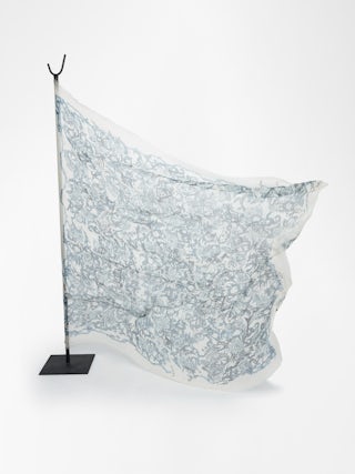 Kerry Schal Roses 135 - Modal-Schal mit Rosendruck.