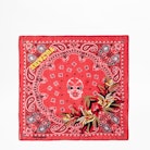 Bandy Paisley Scarf - Women’s small printed scarf.