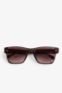 Transparent Wings Sunglasses - Brown acetate sunglasses with wing detailing on temples