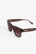 Transparent Wings Sunglasses - Brown acetate sunglasses with wing detailing on temples