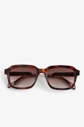 Squared ZV Sunglasses - Square-shaped unisex sunglasses in brown acetate.