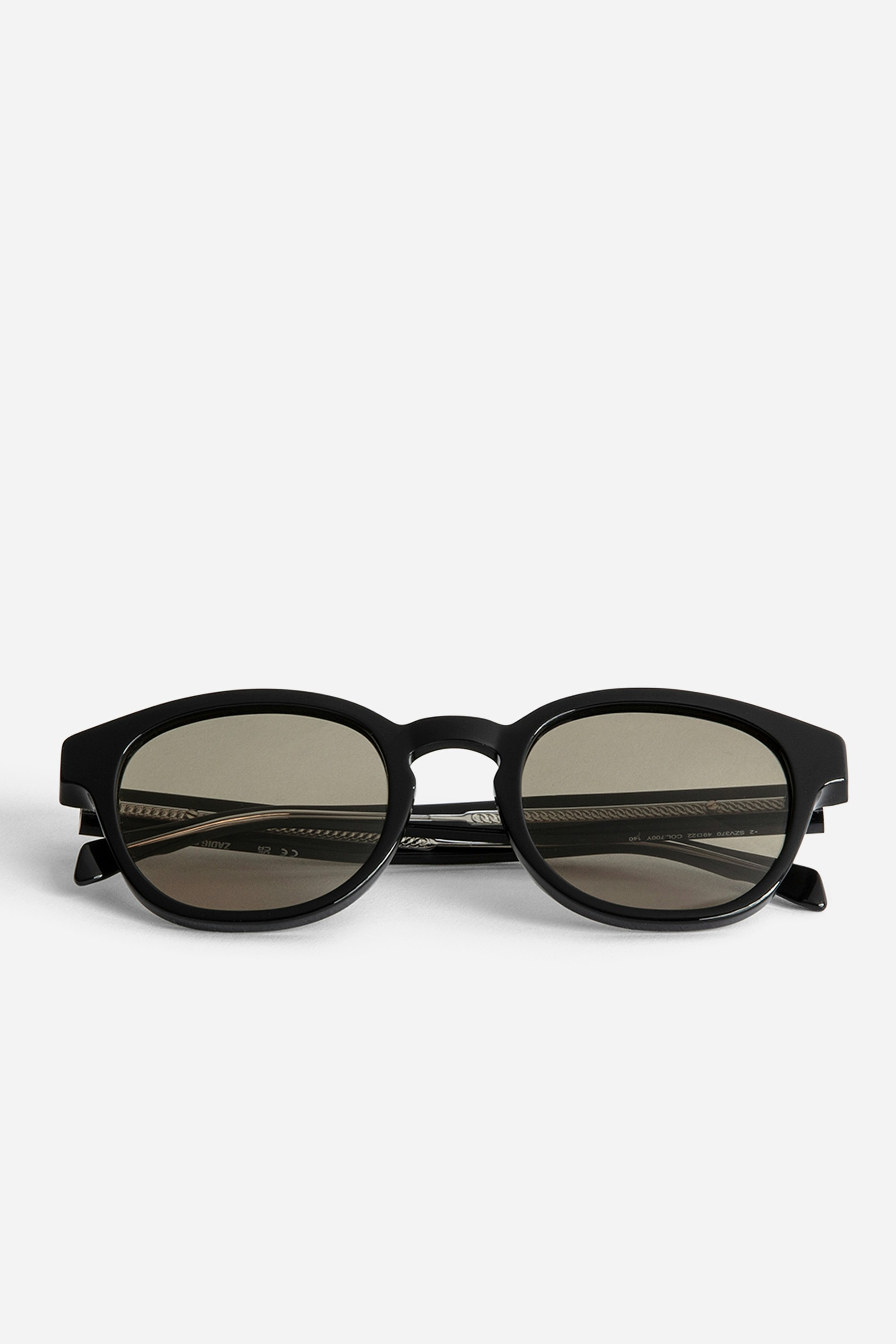 ZV23H6 Sunglasses - Unisex rounded sunglasses with wings on the temples.