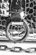 Borsa Kate Wallet Croco - Borsa da donna Kate Wallet Croco, ideata da Kate Moss e Cecilia Bönström